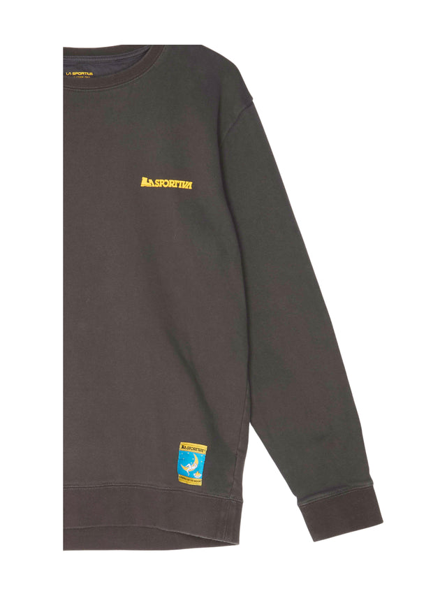 Pullover für Herren