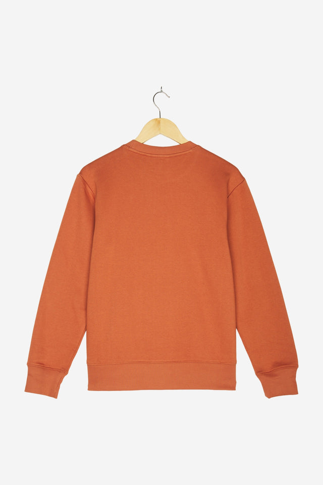 Pullover für Herren