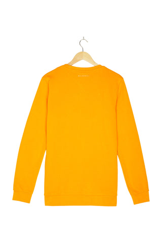 Pullover für Herren