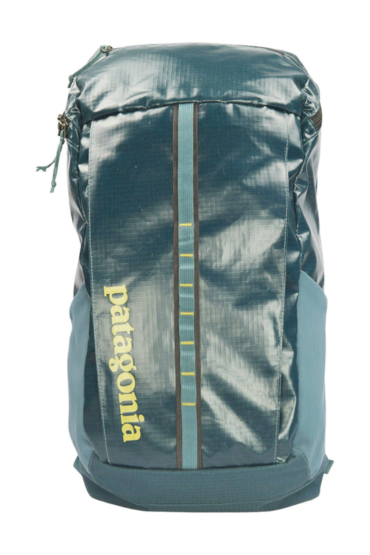 Patagonia Daypack