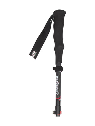 Stöcke Carbon 