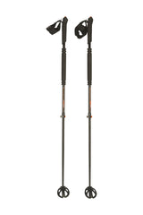 Stöcke Carbon 