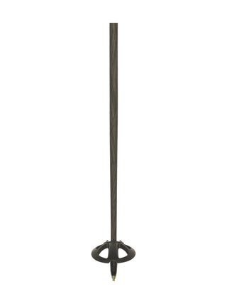 Stöcke Carbon 