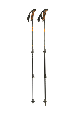 Stöcke Carbon 