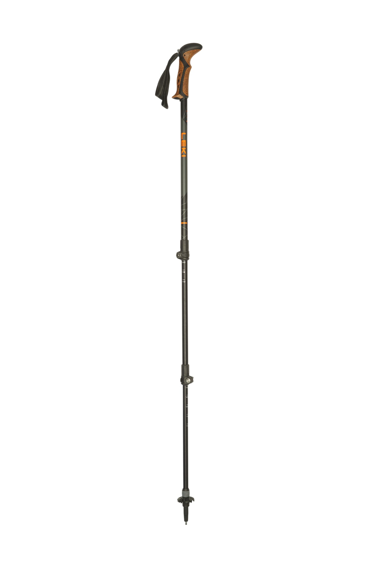 Stöcke Carbon 