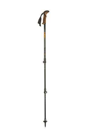 Stöcke Carbon 