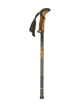 Stöcke Carbon 