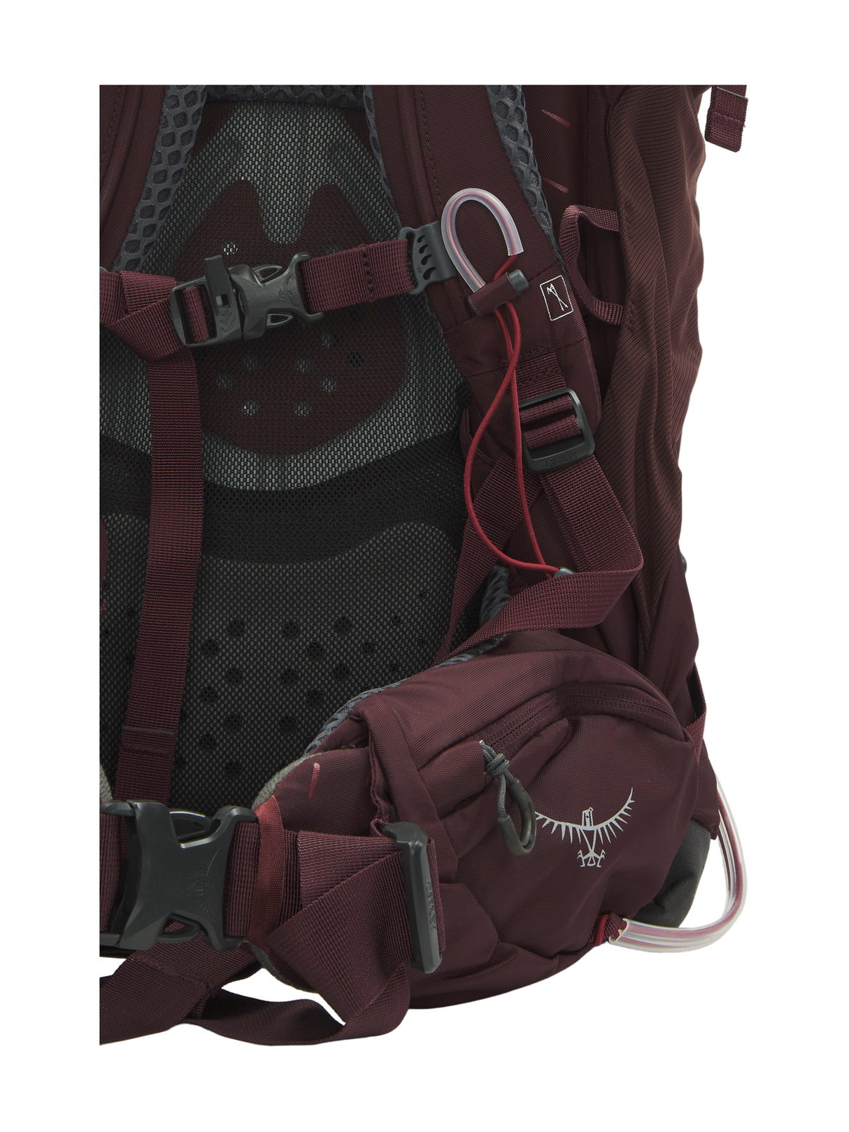 Trekkingrucksack für Damen & Herren