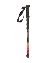 Stöcke Carbon 