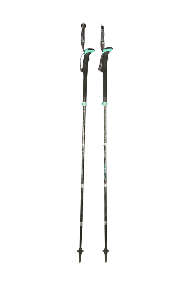 Stöcke Carbon