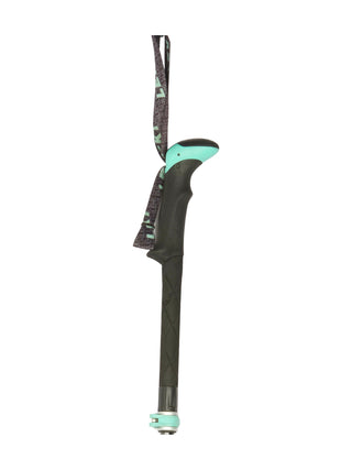 Stöcke Carbon