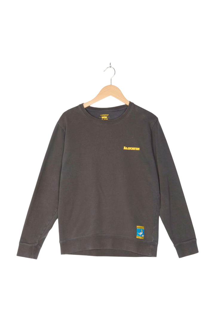 Pullover für Herren