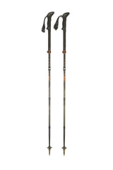 Stöcke Carbon 