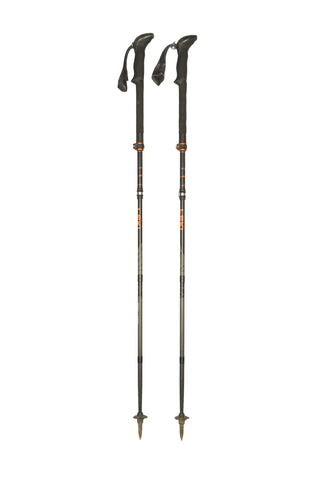 Stöcke Carbon 