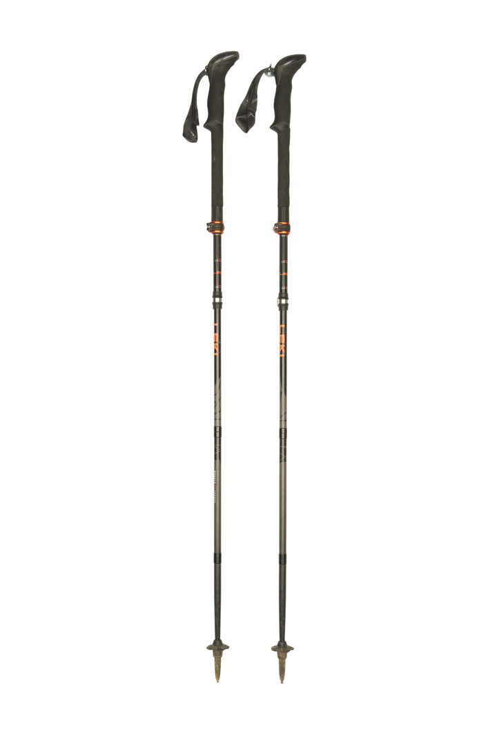 Stöcke Carbon 
