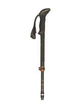 Stöcke Carbon 