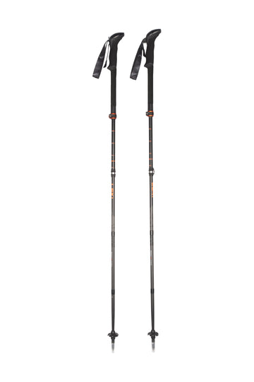 Stöcke Carbon 