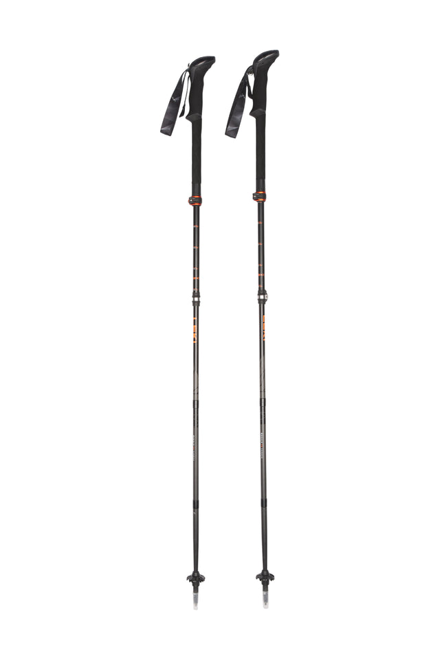 Stöcke Carbon 