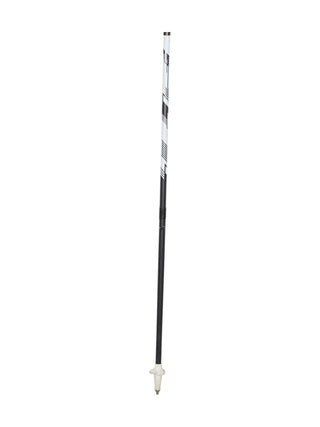 Stöcke Carbon 