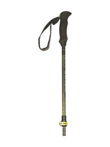 Stöcke Carbon 