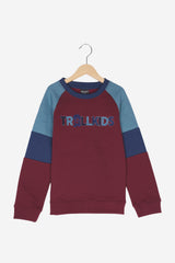 Pullover für Kinder