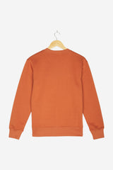 Pullover für Herren