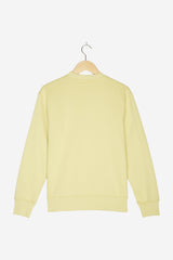 Pullover für Herren